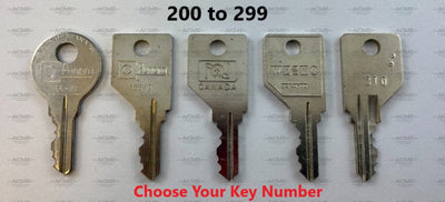 200 to 299 Pundra Wesko Replacement Key