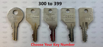 300 to 399 Pundra Wesko Replacement key