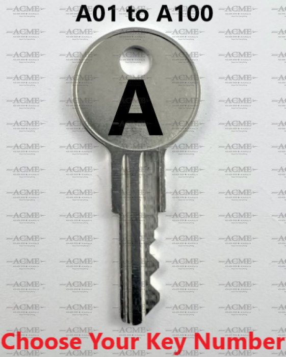 A01 to A100 TF Wayne Dalton Garage Handle Replacement Key