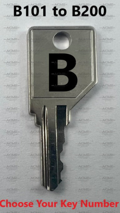 B101 to B200 LaCasse Replacement Key