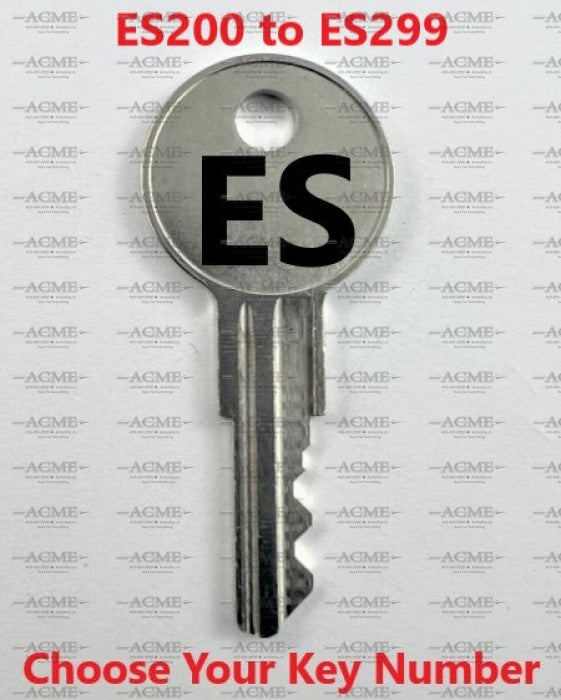 ES200 to ES299 ESP Replacement Key