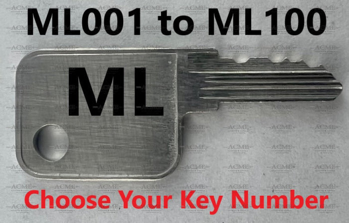 ML001 to ML100 Hayworth Replacement Key