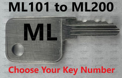 ML101 to ML200 Hayworth Replacement Key