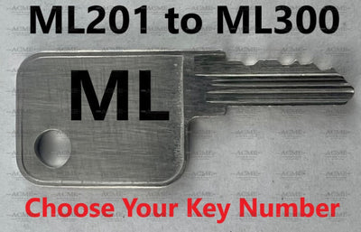 ML201 to ML300 Hayworth Replacement Key