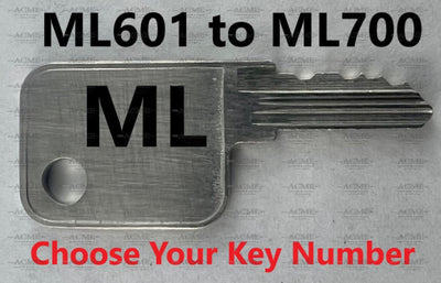 ML601 to ML700 Hayworth Replacement Key